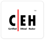 Certified Ethical Hacker